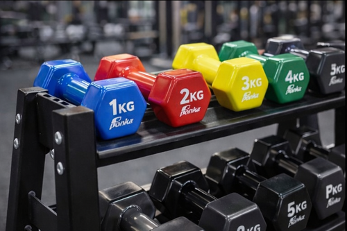 Haltères de fitness